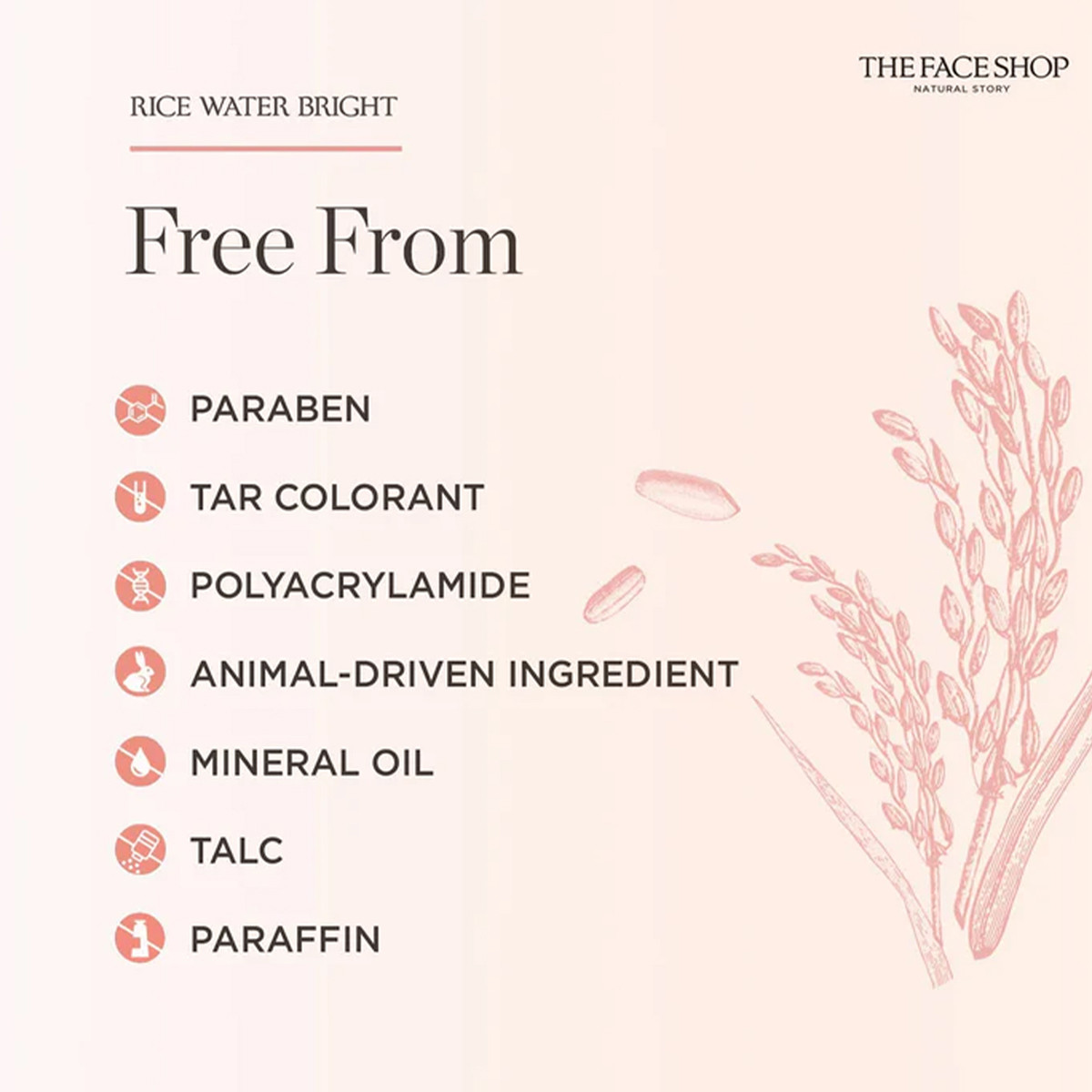 THE FACE SHOP RICE WATER BRIGH - Luxury Skincare Shop 评论和价格
